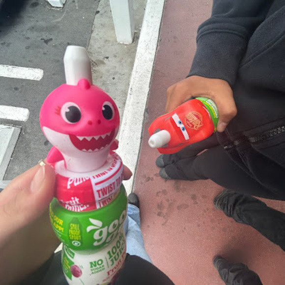 Meet your Posher, Aaliyah - Picture 1 of 1